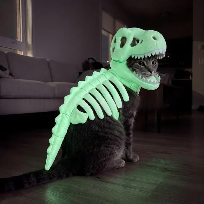 How to Choose a Dog Halloween Costume